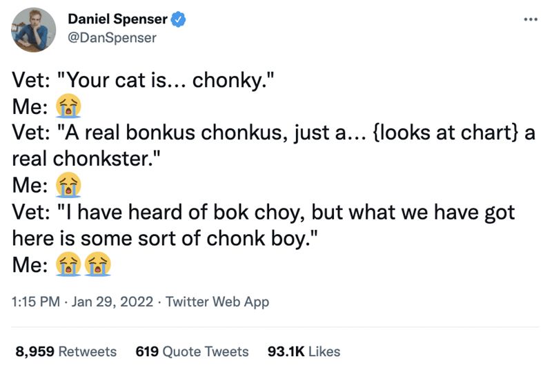 a tweet from @danspenser. the text reads below:

Vet: "Your cat is... chonky."
Me: crying emoji
Vet: "A real bonkus chonkus, just a... {looks at chart} a real chonkster."
Me: crying emoji
Vet: "I have heard of bok choy, but what we have got here is some sort of chonk boy."
Me: two crying emojis