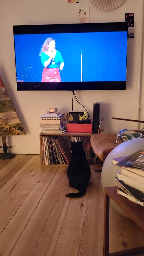 ma chatte Mim assise devant la télé qui regarde le spectacle de Swan Perissé 