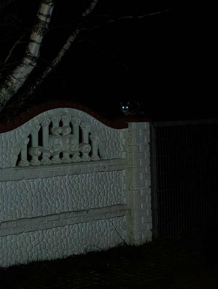 Es ist sehr dunkel, im Licht meiner Stirnlampe ist eine weiße Mauer über der sieht man 2 leuchtende Augen 