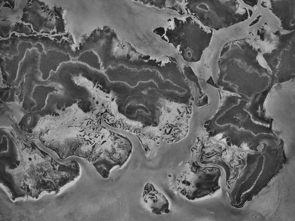 Aerial view of South Andros Island in the Bahamas, footprinted by Tony; Collection: DOS, Sortie: 1373/USAF/M/0003, Frame: 5192 (8 January 1957).