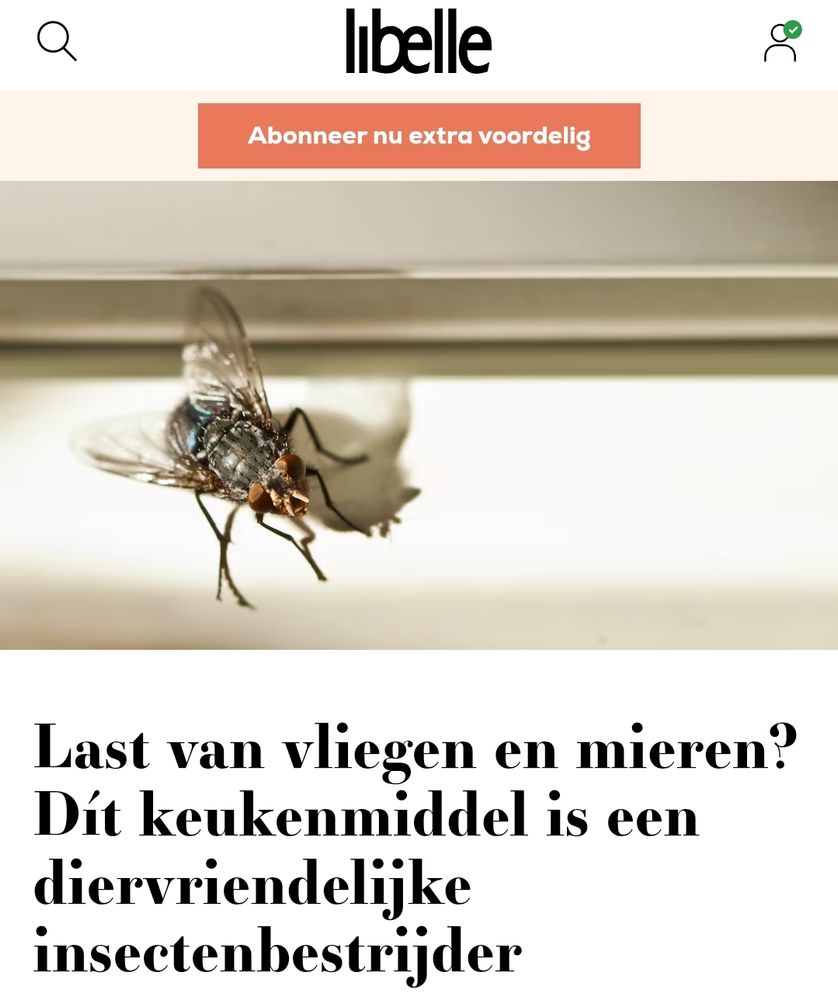 Kop van Libelle: Last van vliegen en mieren? Dít keukenmiddel is een diervriendelijke insectenbestrijder