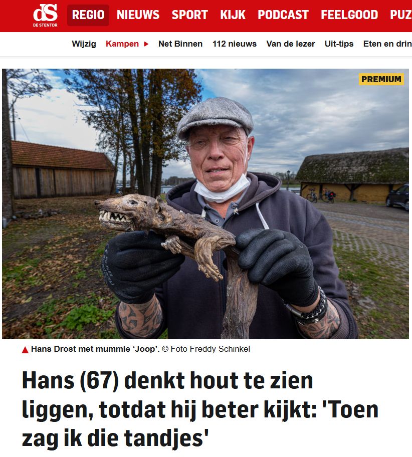 Kop van de Stentor: Hans (67) denkt hout te zien liggen, totdat hij beter kijkt: 'Toen zag ik die tandjes'
