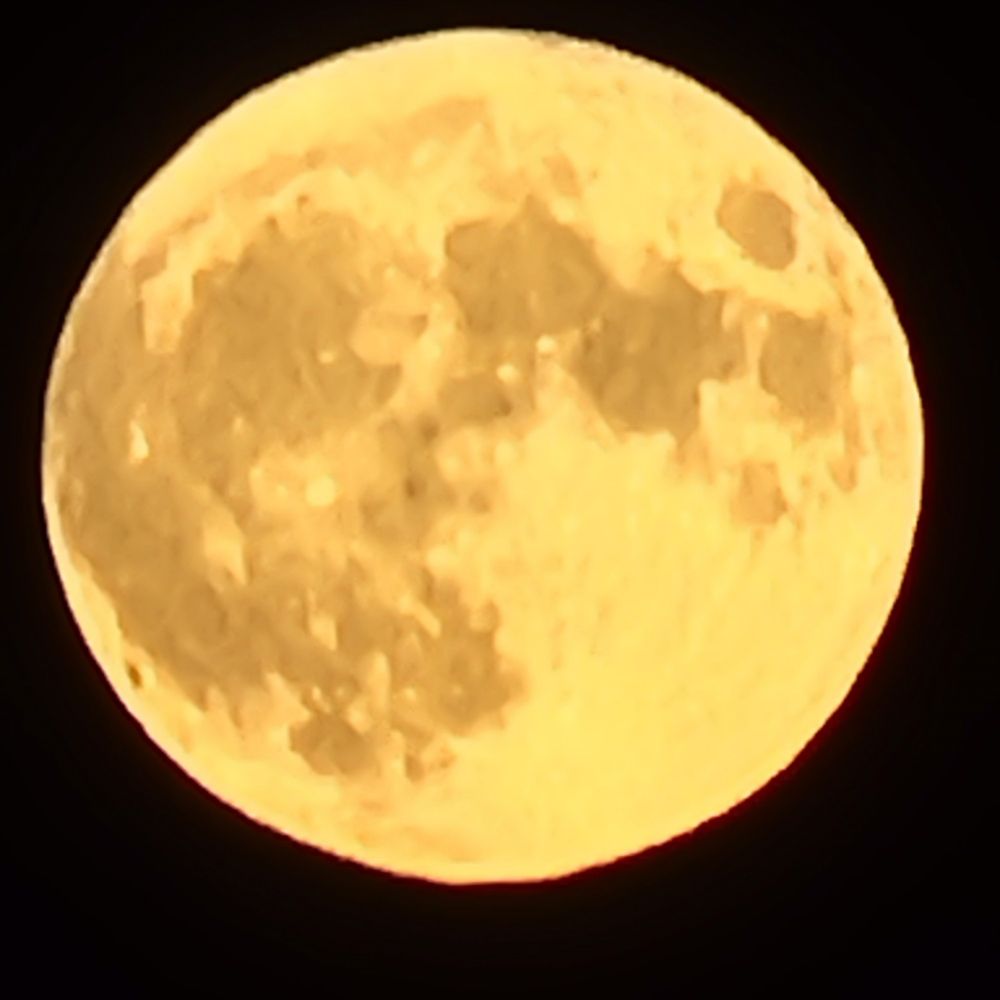 A large image of yesterday's full moon.