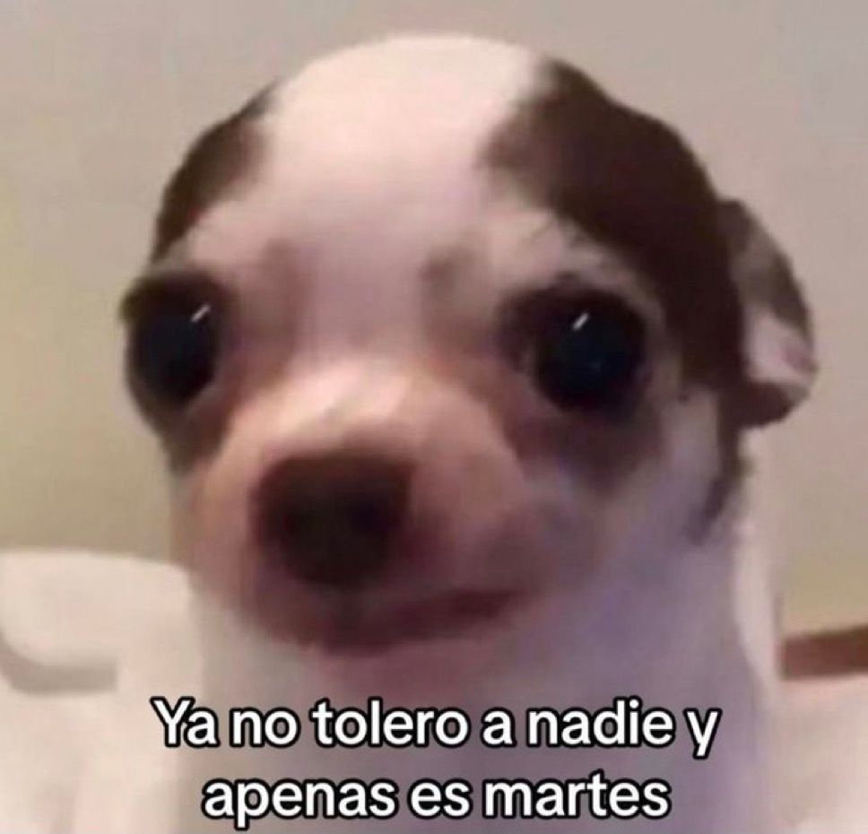 Ya no tolero a nadie y apenas es martes