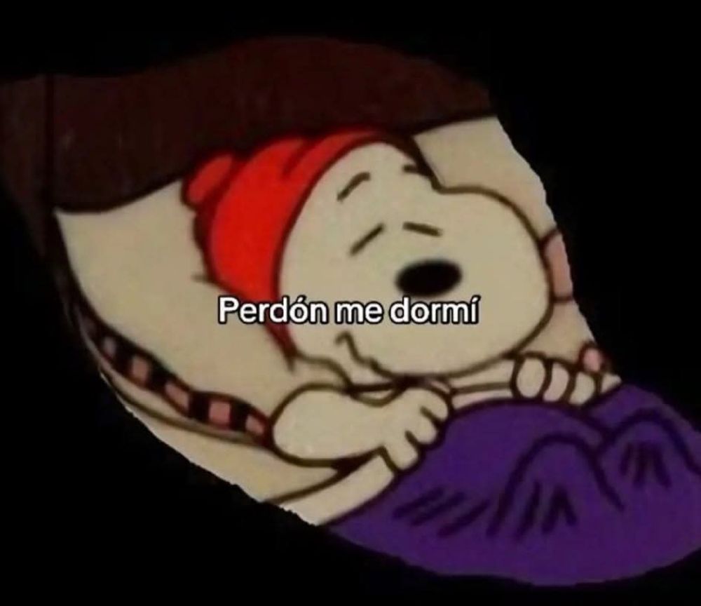 Perdón me dormí