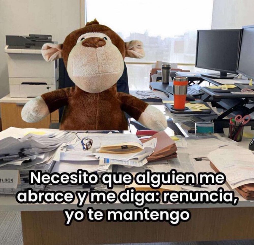 Necesito que alguien me abrace y me diga “renuncia, yo te mantengo”.