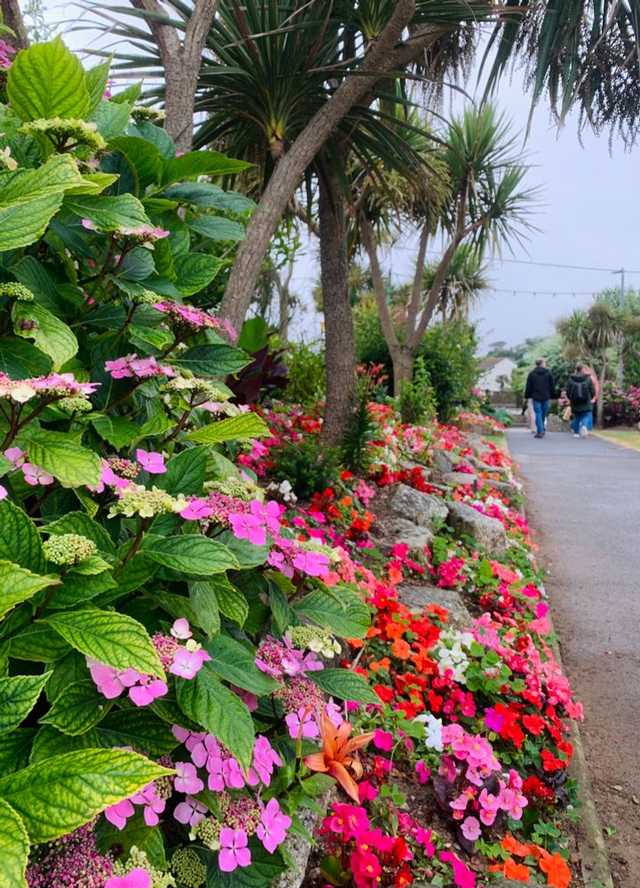 Picture of flowerbeds in Perranporth, Cornwall