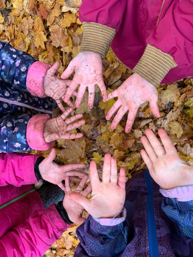 Das Bild zeigt 8 Kinderhände, die teils voller Erde über einen Laubhauben gehalten werden.