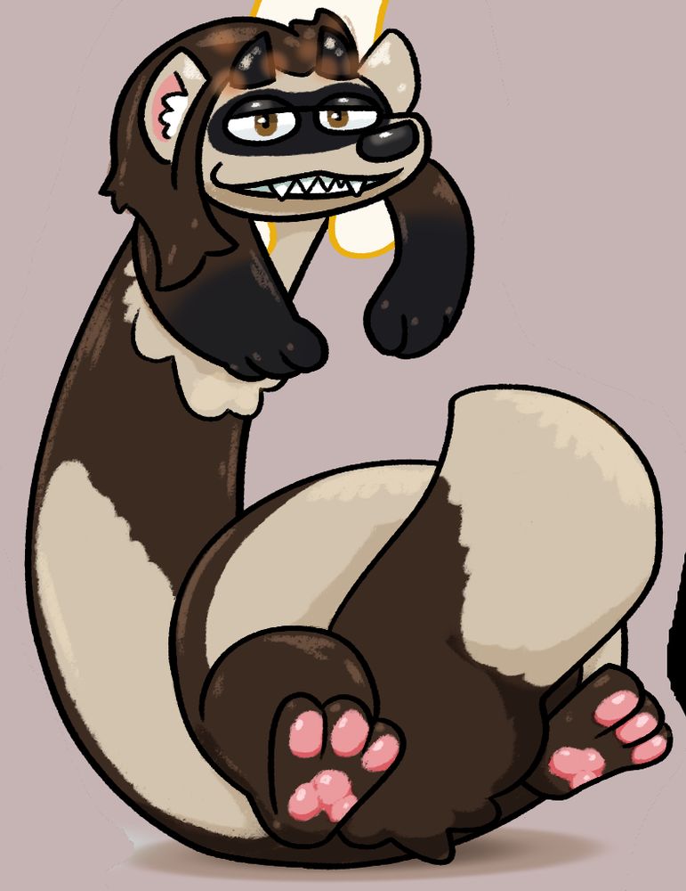 Koch the ferret stretched out extra long by a hand grabbing them from above. Art by GrichyinkReally.