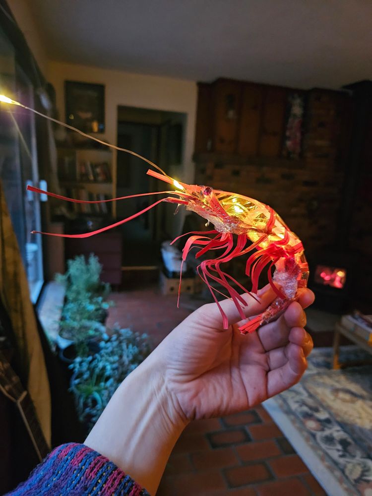 Someone is holding a small sculpture of a shrimp, made from twist ties and clear plastic. String lights inside the shrimp make a cool artsy light.