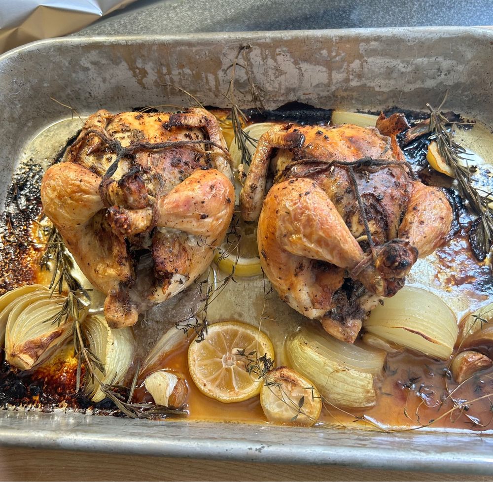 Cornish hens roasted with lemon slices, garlic cloves, chunks of onion and springs of rosemary and thyme. The hens are a beautiful golden color.