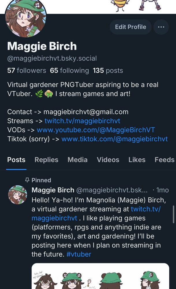 Vtuber profile, i don’t want to describe too much since alt text is searchable, sorry!!!