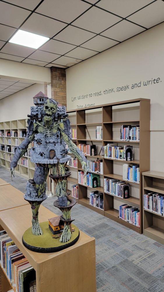 The library at WCHS.
