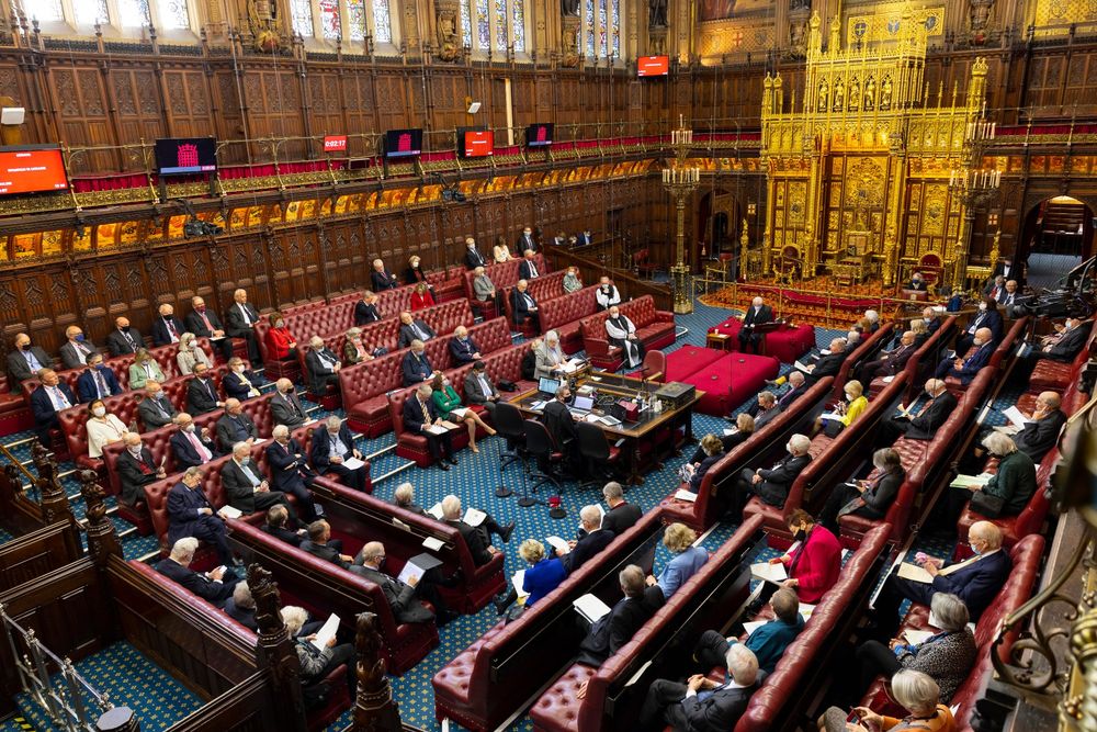 Chamber of the House of Lords of the UK, distinguishable from the Commons chamber by more ornate seating and seating across the chamber facing the chair. From https://en.wikipedia.org/wiki/House_of_Lords