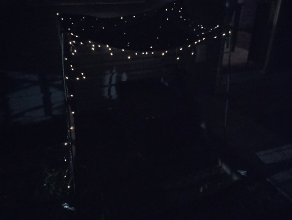 Night shot of the platie pond showing off the solar powered fairy lights woven into the black mesh sun shade.