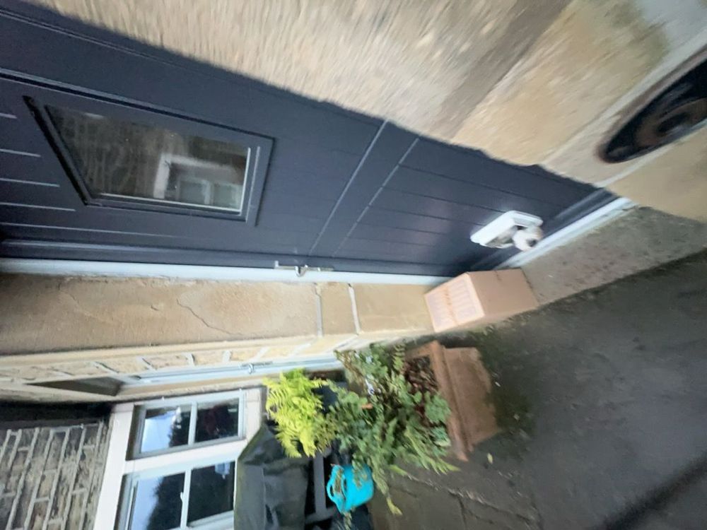 Parcel at the backdoor of a house with the head of a dog looking out the cat door