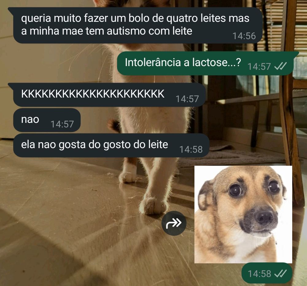 Print de uma conversa do whatsapp:
Ele: queria muito fazer bolo de quatro leites mas a minha mãe tem autismo com leite
Eu: Intolerância a lactose...?
Ele: kkk nao. ela nao gosta do gosto do leite 
Eu: figurinha de um cachorro caramelo encarando a tela com olhar desconfortável 