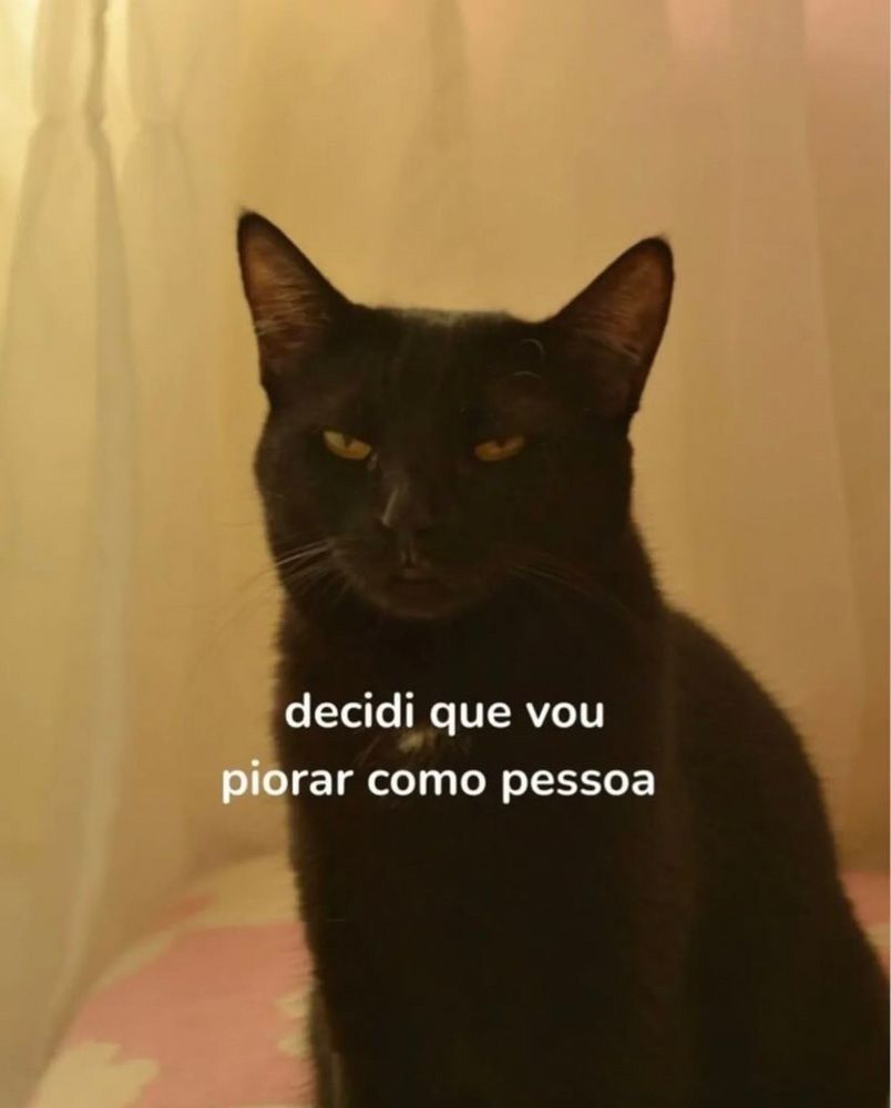 Um gato preto com olhos amarelos encarando a câmera, com olhos semiabertos. No meio da imagem, tem a legenda "decidi que vou piorar como pessoa". 
