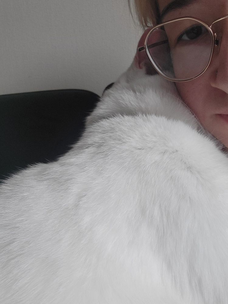 Luna (ma chatte blanche et tigrée) dort dans mes bras, sa tête collée à ma joue