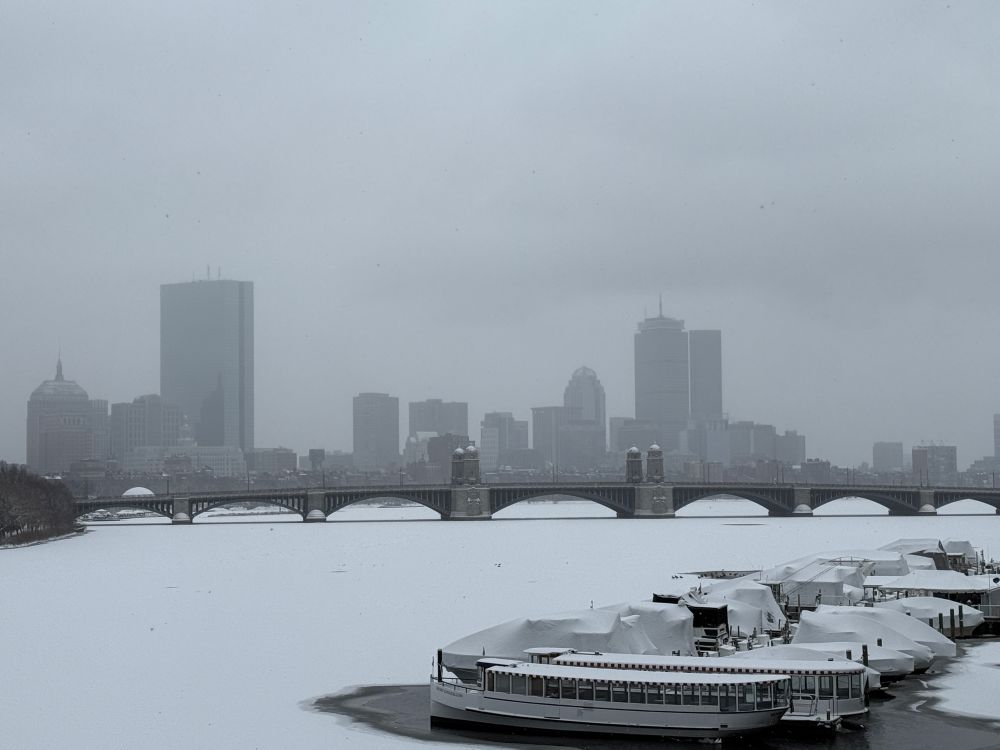 Skyline in the snow