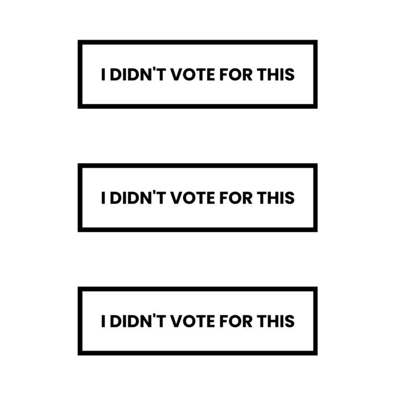 A car magnet that says: I DIDN’T VOTE FOR THIS