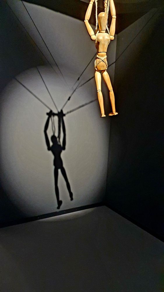 Comment image