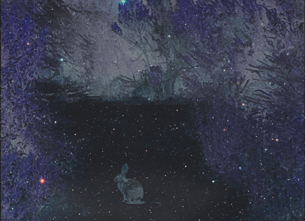 an image of a rabbit in inverted negative color is laid over an image of endless space and stars