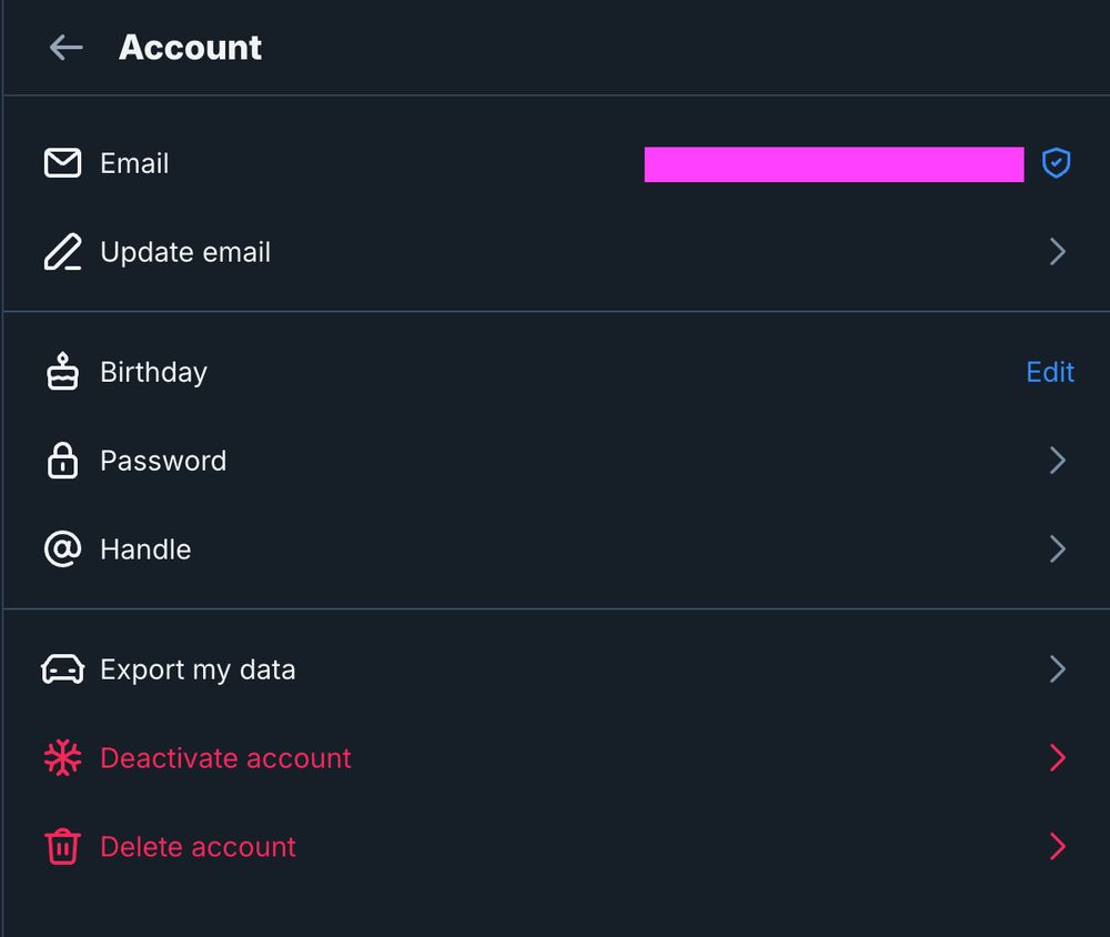 List of options under Settings Account on Bluesky. 

Email, Update email, Birthday, Password, Handle, Export my data, Deactivate account, Delete account
