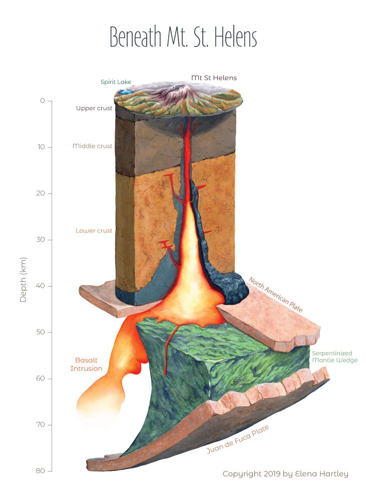 a painting of the magma chamber of Mt. St. Helens. Below the mountain is a tall rocky structure and a cone shaped molten magma chamber. Under the magma chamber shows a green wedge in between two tectonic plates. 