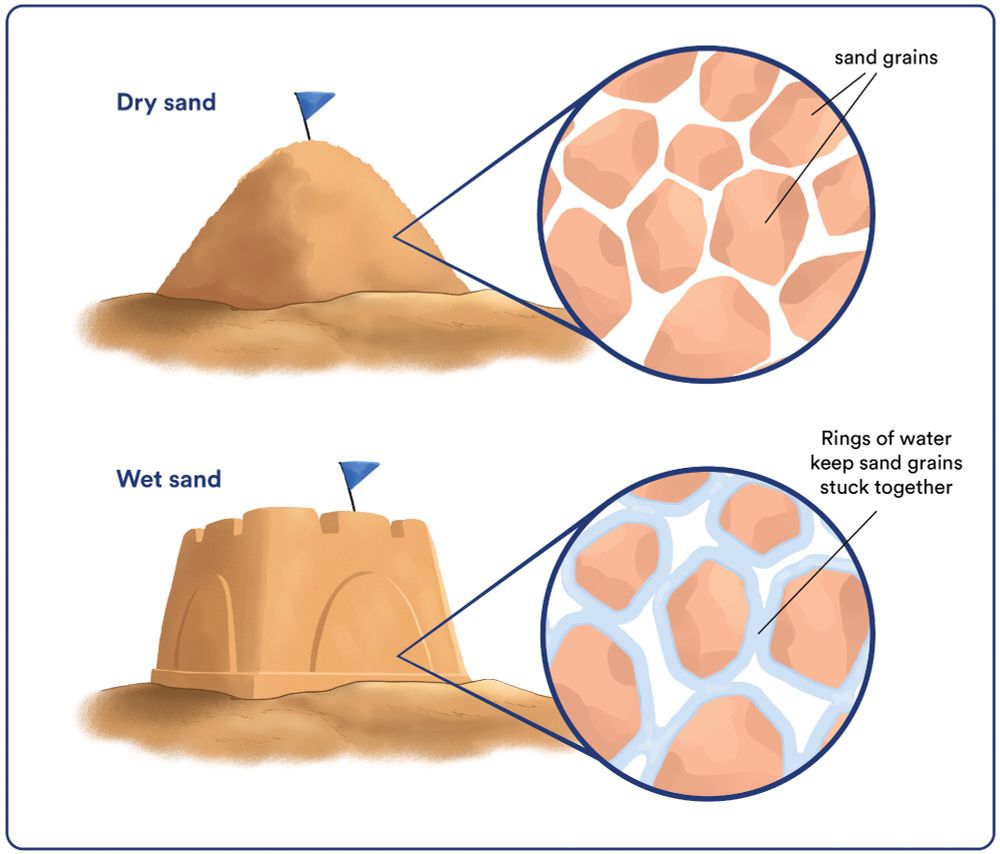 A graphic showing two sand mounds. One is a pile of sand, labeled 'dry sand' while the other is a sand castle labeled 'wet sand'. Two pop ups showing a close up view of the sand grains are positioned next to each mound. The 'wet sand' pop up shows rings of water around sand grains.