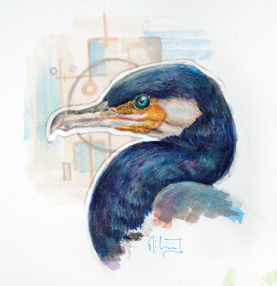 The side-view of a great cormorant in front of a beige and blue pattern