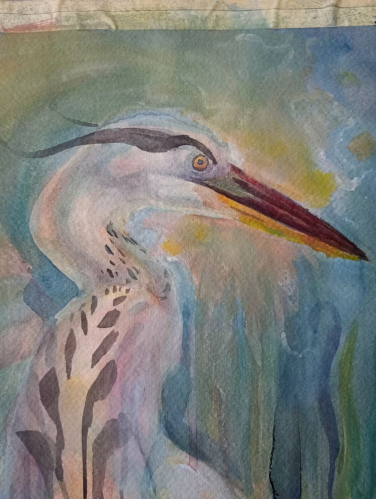 An updated version of the heron's head, it has the beginnings of a halo behind it