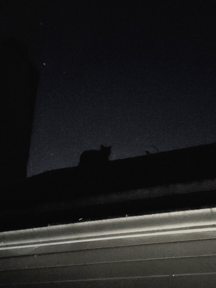 Dark cat on a roof peak at night