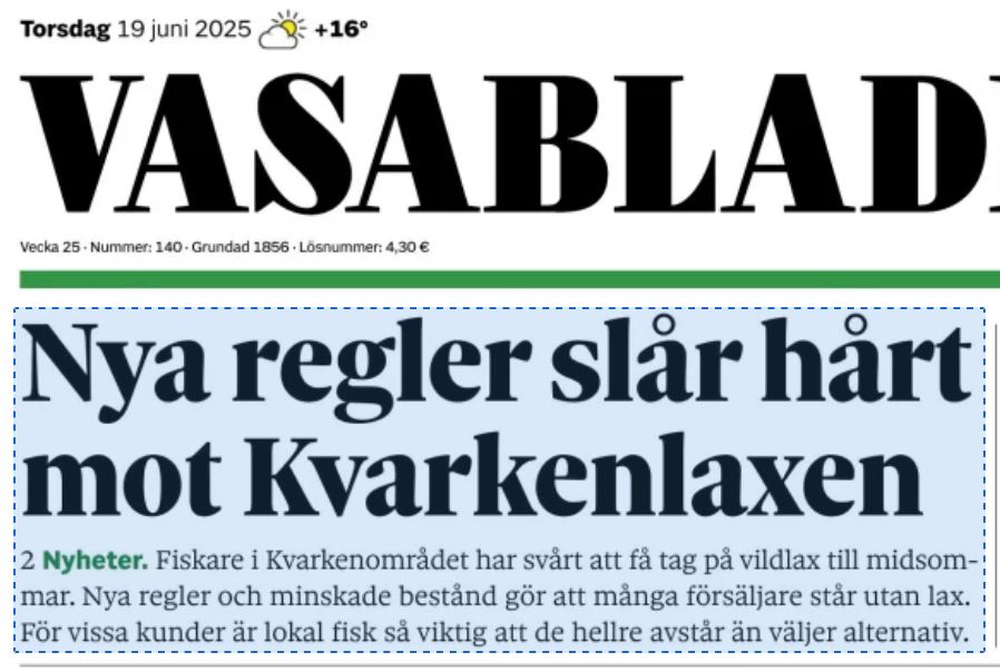 Utsnitt av Vasabladets första sida, rubriken "Nya regler slår hårt mot Kvarkenlaxen"