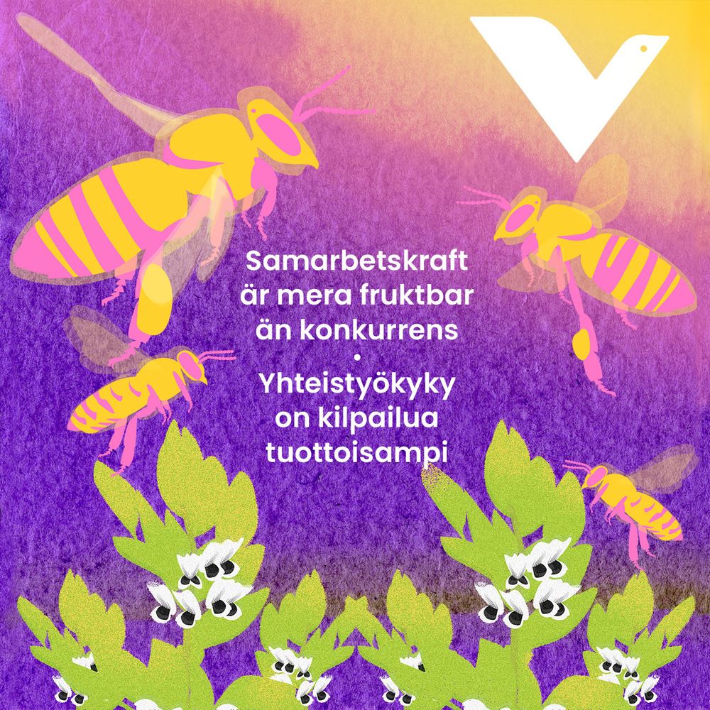 Flygande bin och blommande bondbönor. Texten Samarbetskraft är mera fruktbar än konkurrens. Yhteistyökyky on kilpailua tuottoisampi.