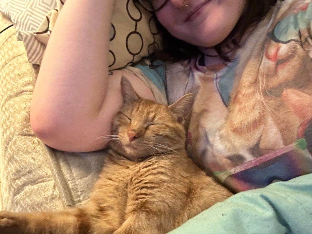 a selfie of a person and an orange cat. all that can be seen of the person's face is their nose and mouth; they have a closed mouth smile. the cat's eyes are closed and his head is resting on the person's bicep as he sleeps. 