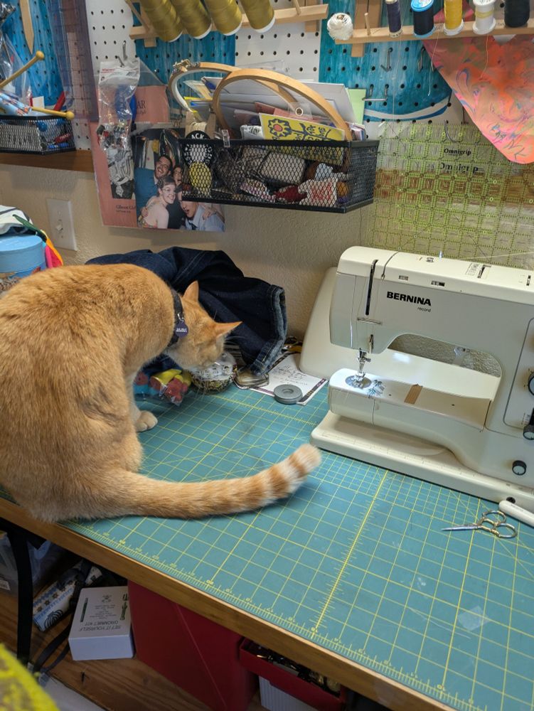 Ginger cat on a messy table with cutting mat and sewing machine. Messy pegboard in background. 