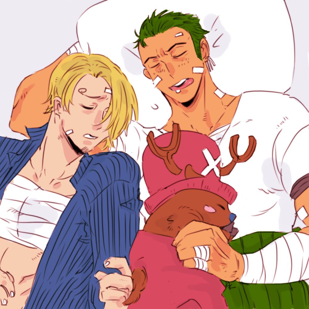 Chopper with Injured Zoro and Sanji sleeping next to each other, Chopper sleeping on top of Zoro's tummy and Sanji using Zoro's arm as a pillow