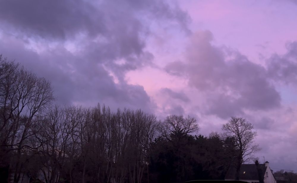 ciel violet au dessus d’arbres en hiver
Janvier 2025