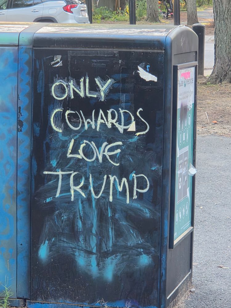 Graffiti on a trash can that says "Only cowards love Trump."