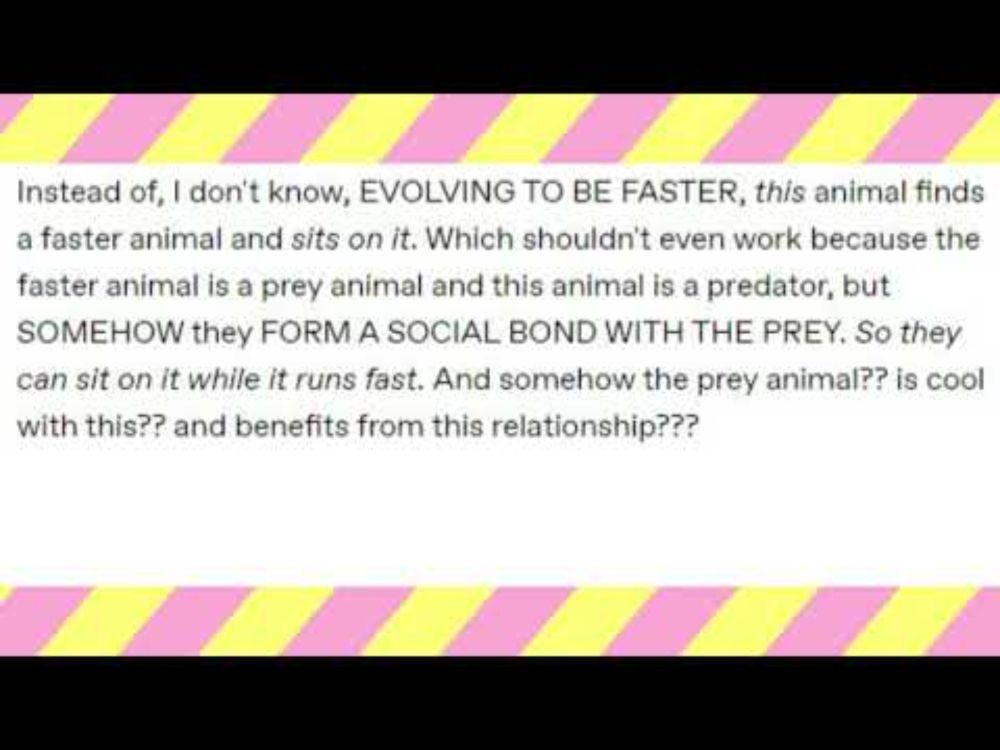 How Can You Hate Humans?