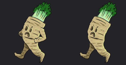 illustration drawing of a mutated radish vegetable, left has arms, right has only legs.