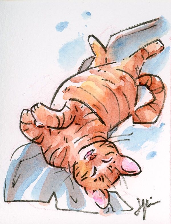 Watercolor painting of an orange tabby rolling happily onto his back