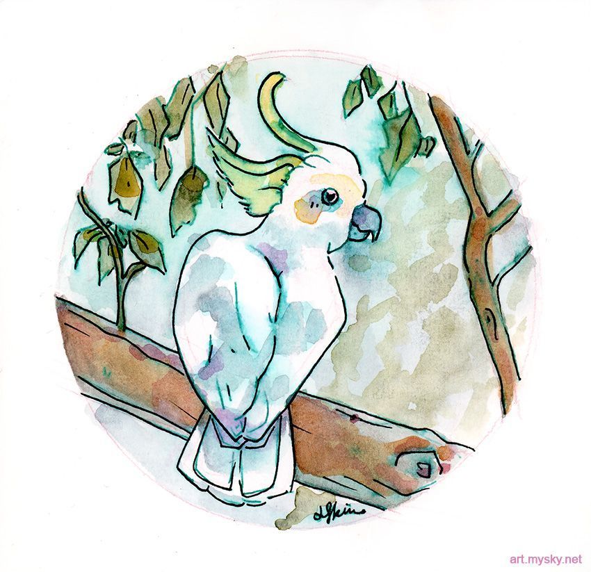 Watercolor painting of a cockatoo on a branch