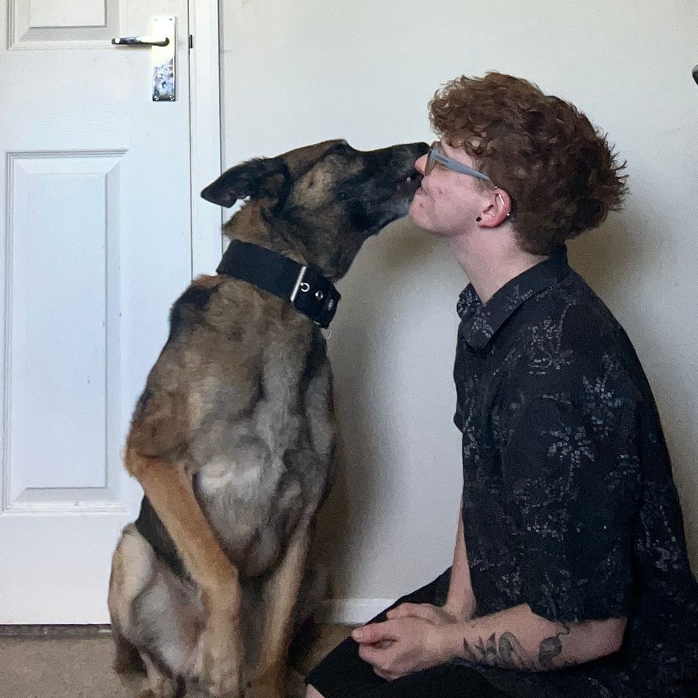 Me sat with Logan the sable Malinois who is giving me a kiss on the face.
