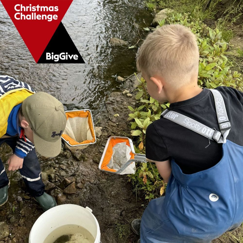 Two boys pond dipping for riverfly