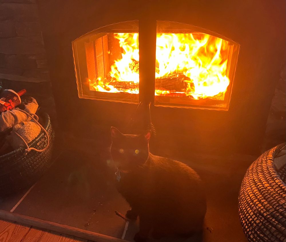 Fire and cat 