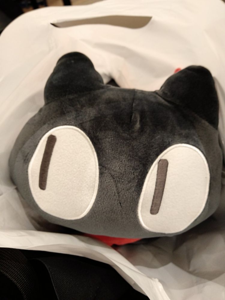 ましゅもっち… もちもち阪本さん…