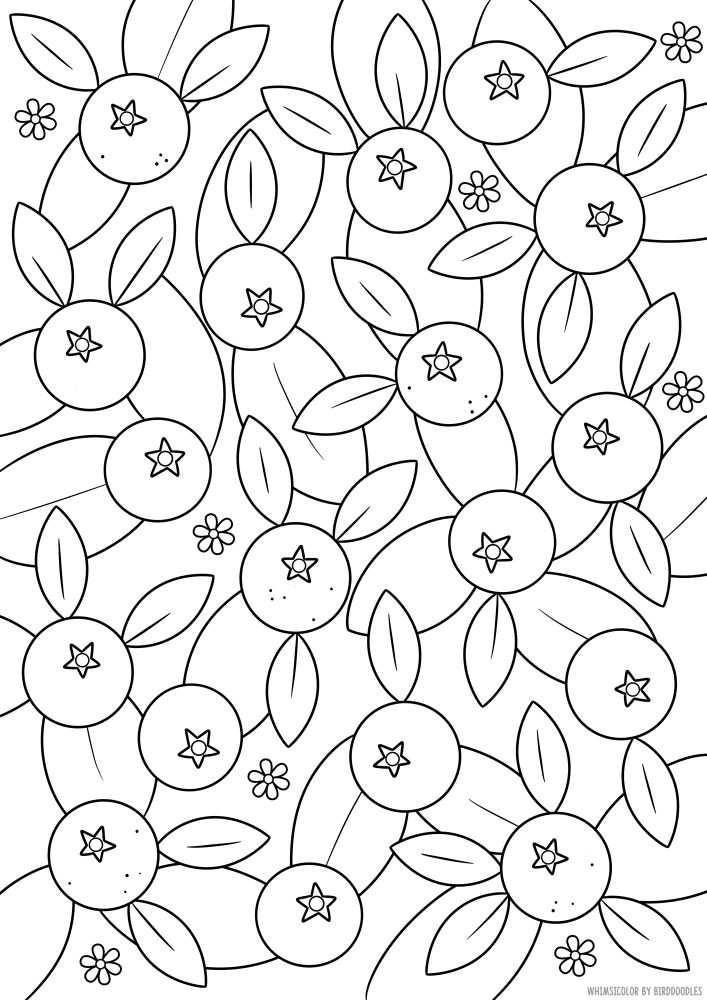 A digital drawing of many blueberries, leaves, and small flowers scattered across the page, meant to be used as a coloring page.  