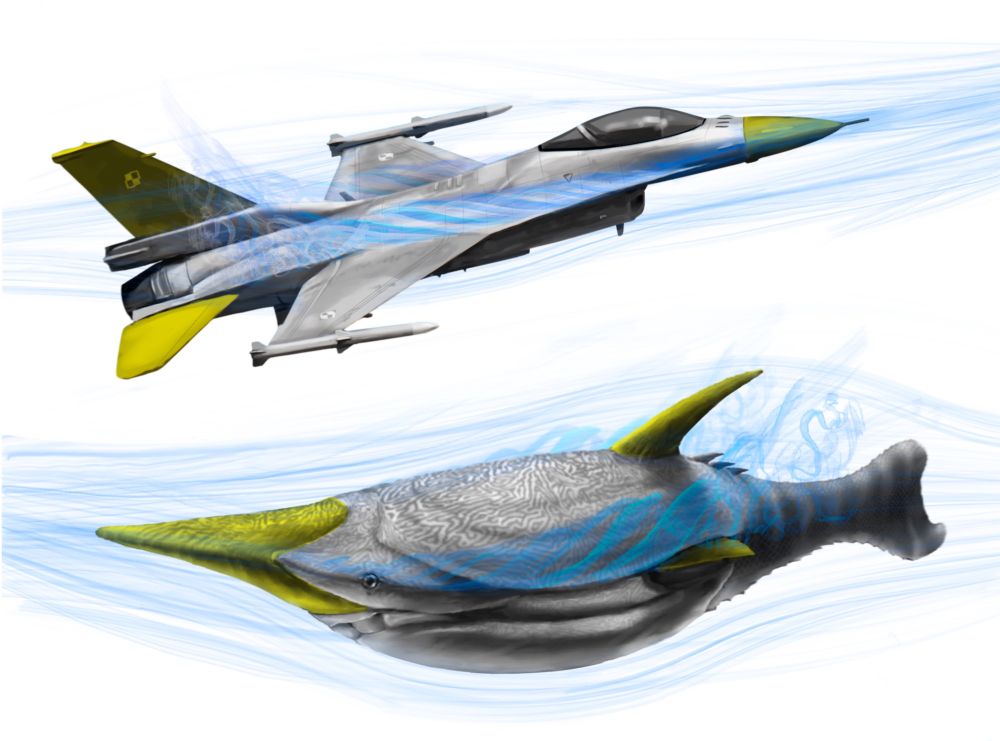 An illustration of a fighter jet compared to an ostracoderm fish with similar control surfaces, colored in yellow on each.